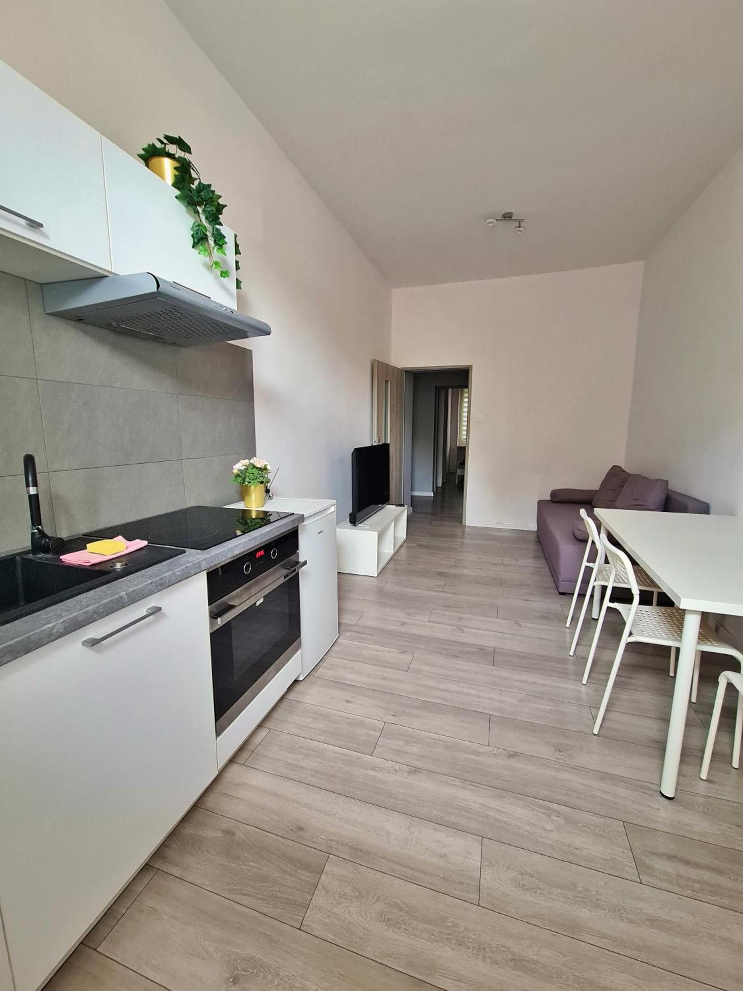 Apartament Przy Zamku - Darmowy Parking Stary Toruń Exteriér fotografie